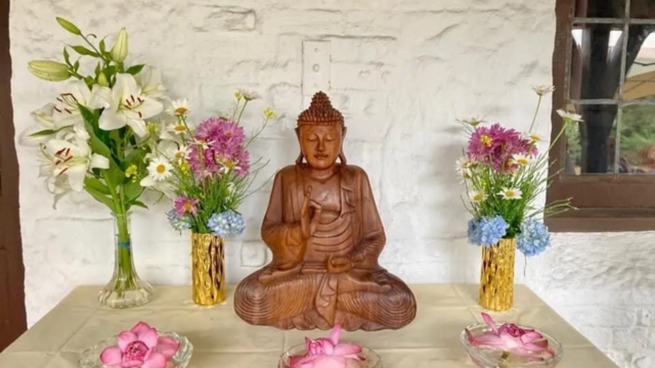 Monk Chat with Empty Cloud Monastics