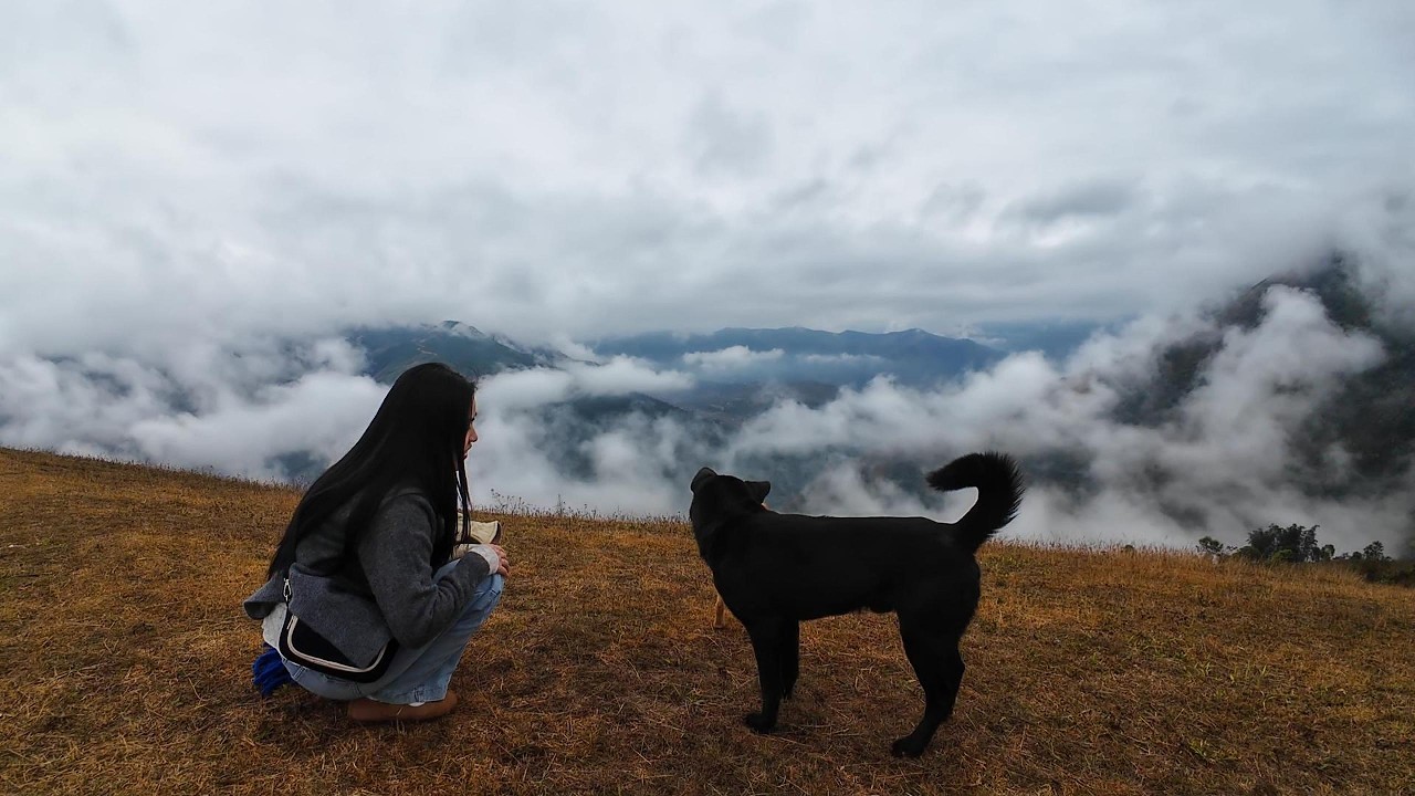 Thảo Nguyên Tà Xùa | Mỏm Cá Heo | P2