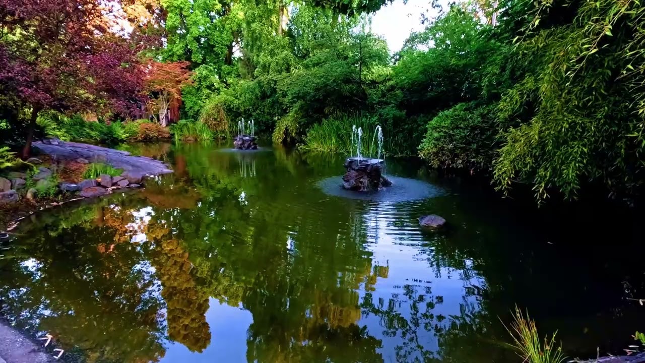 Randy Stagg Video Prodution, Tranquil Moments, The Duck Pond,   Goverment House