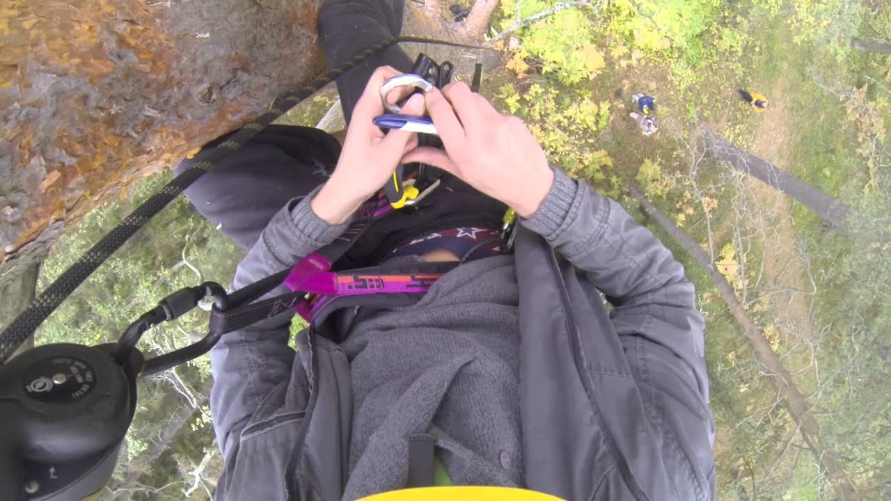 Geocaching | T5 Compilation