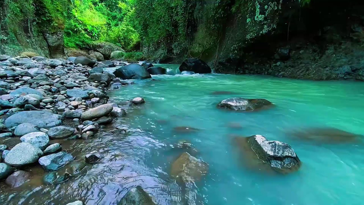 Forest River Gentle Water, Mountain Stream Flow, Sleep