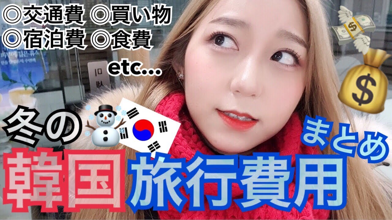 【韓国旅行】冬の韓国旅行費用何から何まで全部公開します！交通費・食費・飛行機代・宿泊費・買い物など！【旅費】