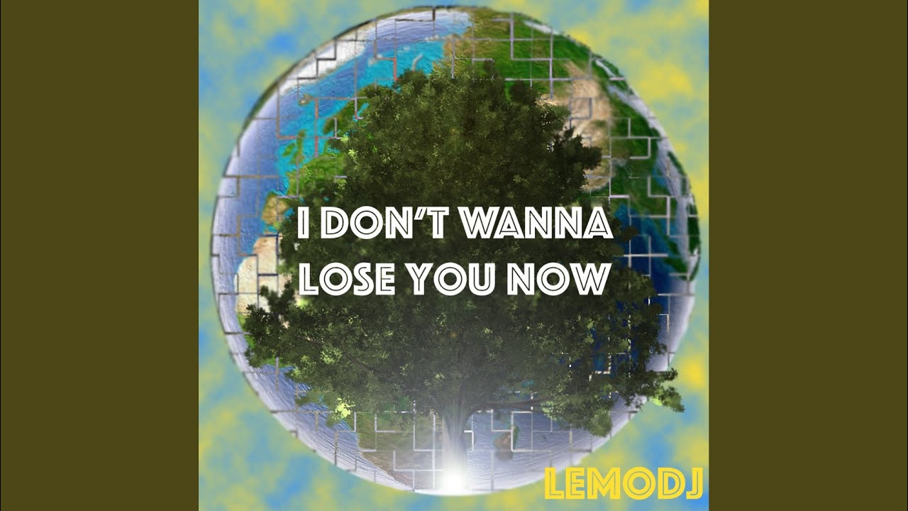 I Don't Wanna Lose You Now (Original Mix)