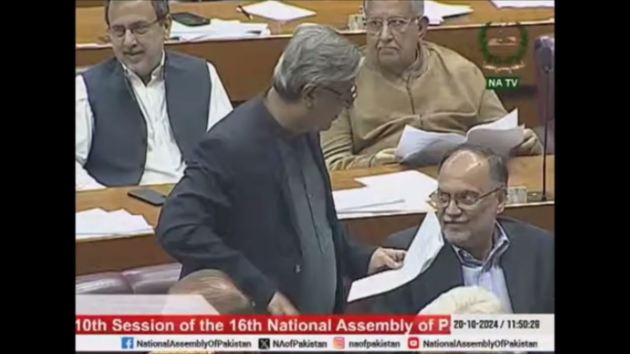 Senator Azam Nazeer Tarar expresses views during National Assembly Session