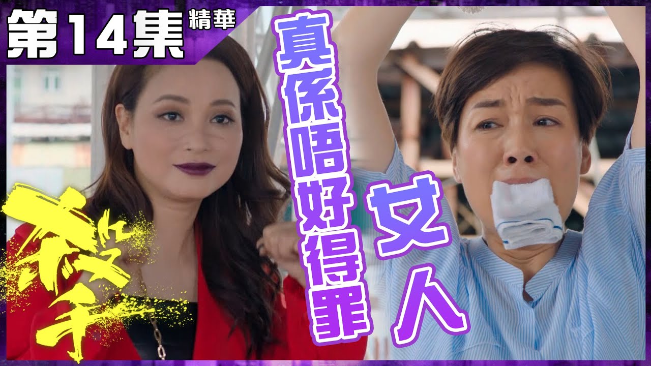 殺手｜第14集加長版精華 真係唔好得罪女人｜黎耀祥｜江美儀｜樊奕敏