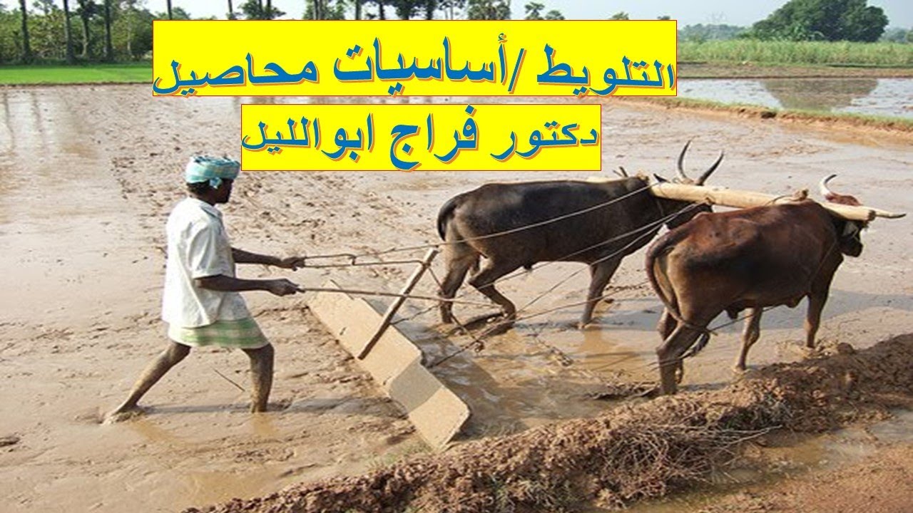 التلويط /أساسيات محاصيل