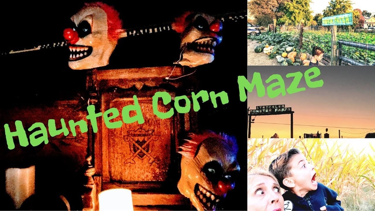 Haunted Corn Maze at Strickler Monster Farms in Lincoln, CA.
