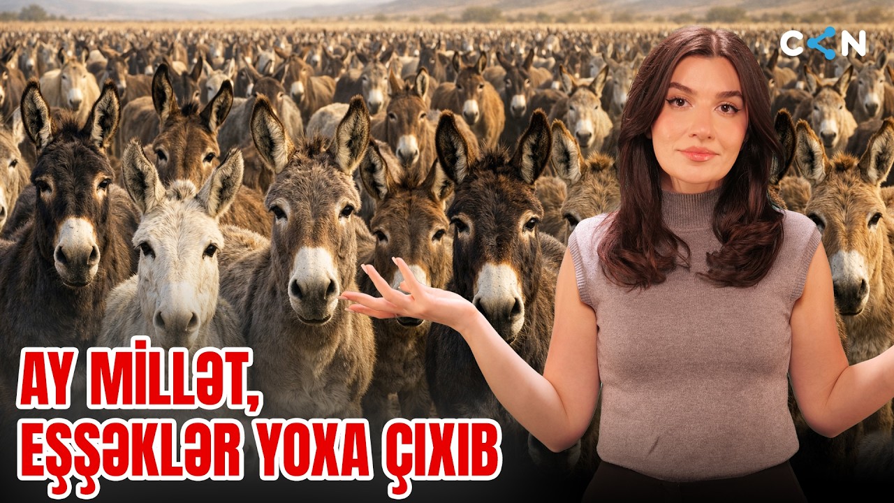 Ay Millət, Eşşəklər Yoxa &Ccedil;ıxıb