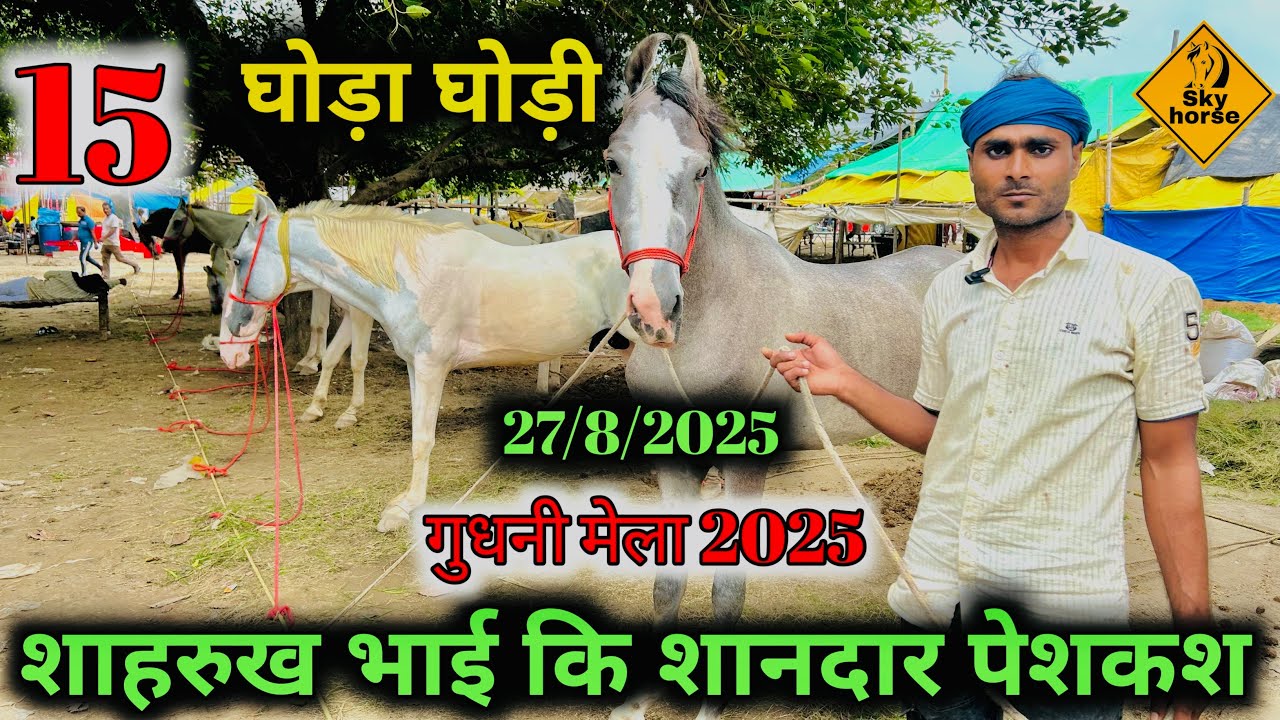मालिक ने कहा घोड़े तो बहुत देखें हैं पर हमारे घोड़े जैसे नहीं | #Gudnimela2025