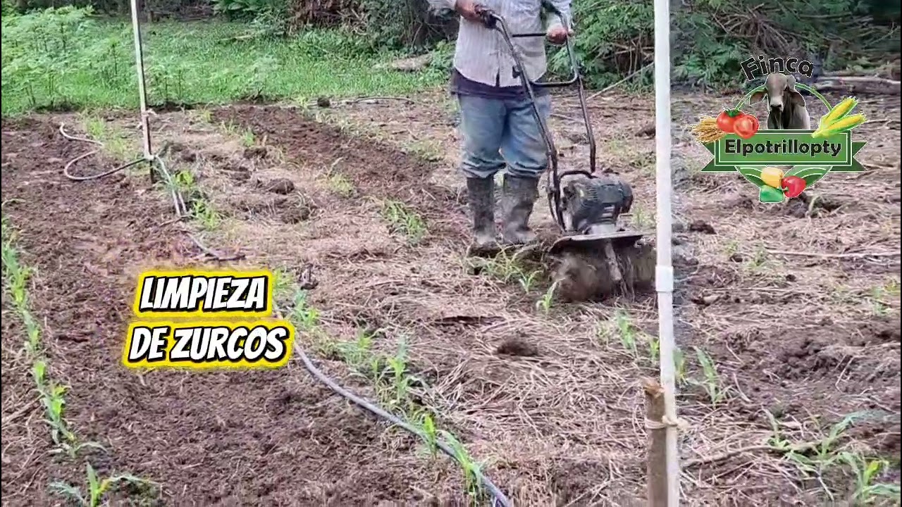 🌽Limpieza de Zurcos 🌽