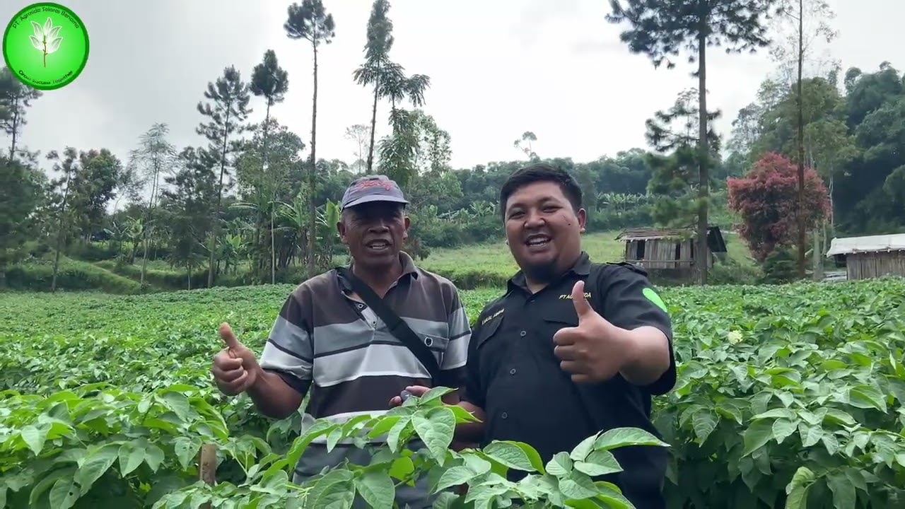 Bukti Nyata Hasil Maksimal dengan Menggunakan Produk Agrosida