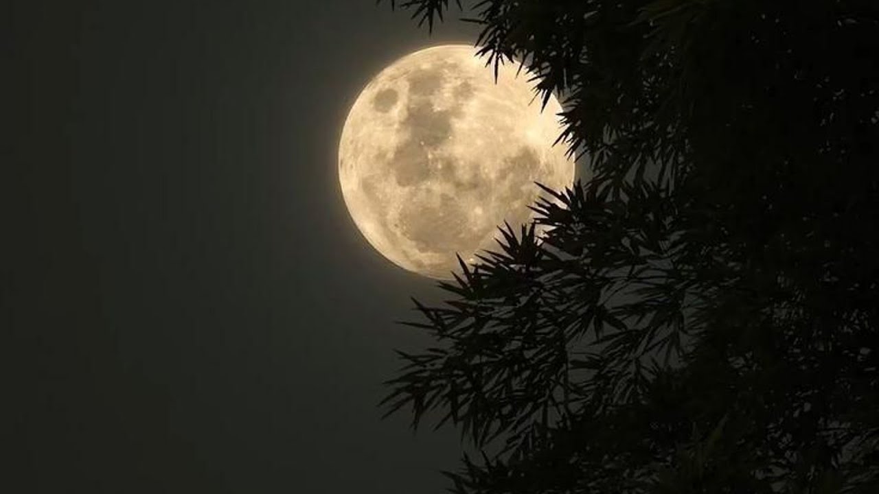 [FREE] Oxxxymiron x Pyrokinesis Type Beat - 