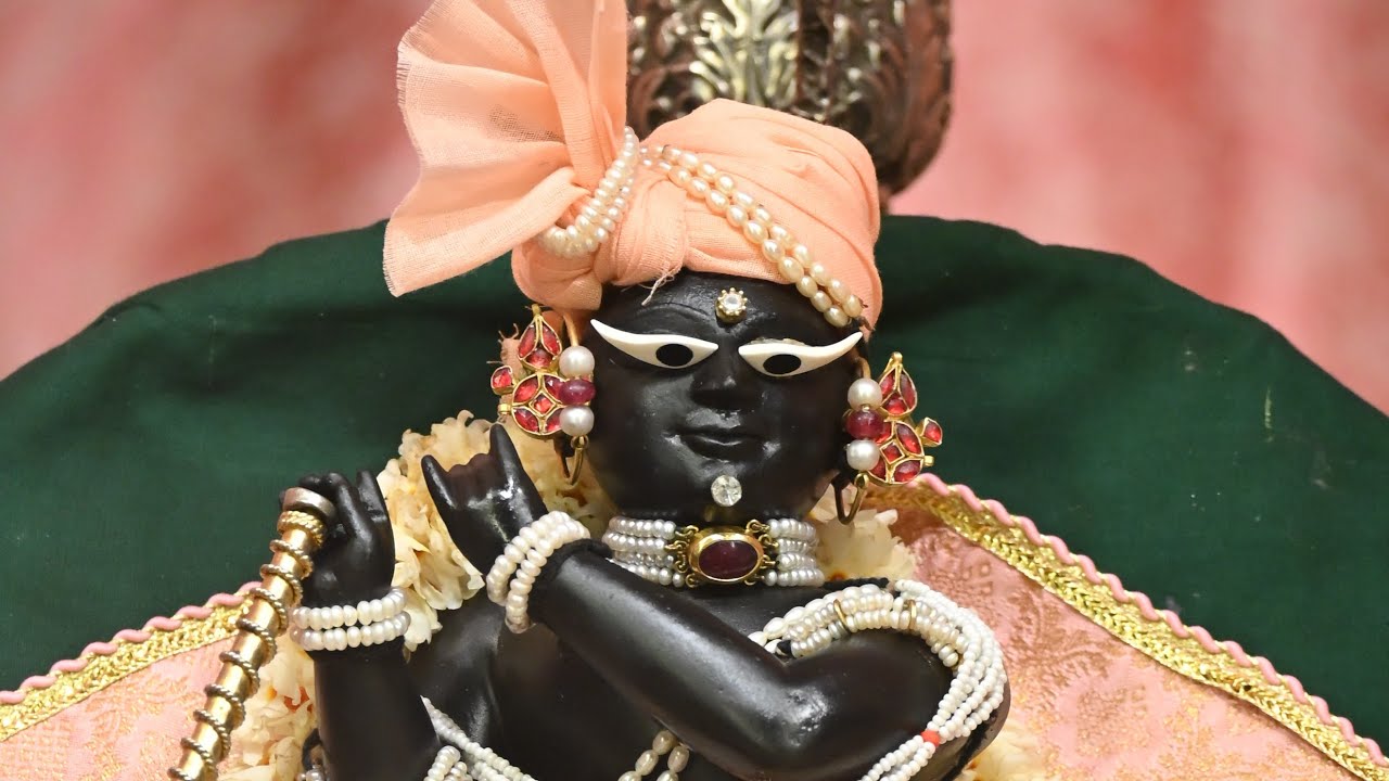 11 march 🦚🌸 Vrindavan Update #ytstream #live