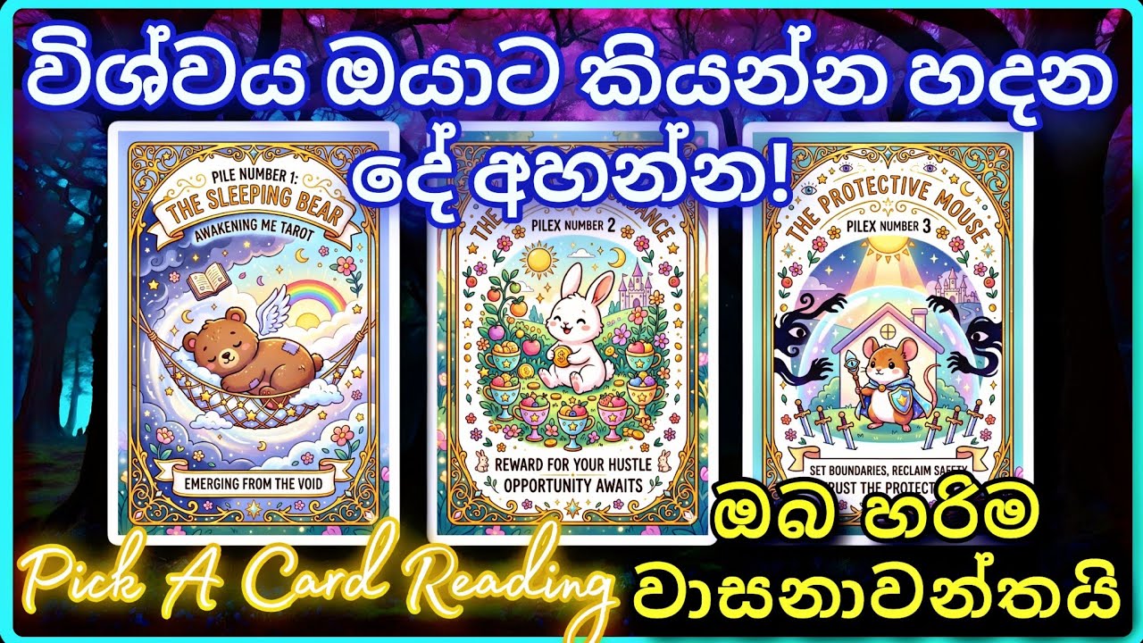  විශ්වයෙන් ඔයාට ලැබුණු විශේෂ පණිවිඩය  💜️ Urgent! Pick A Card Reading Sinhala | Tarot Reading Sinhala