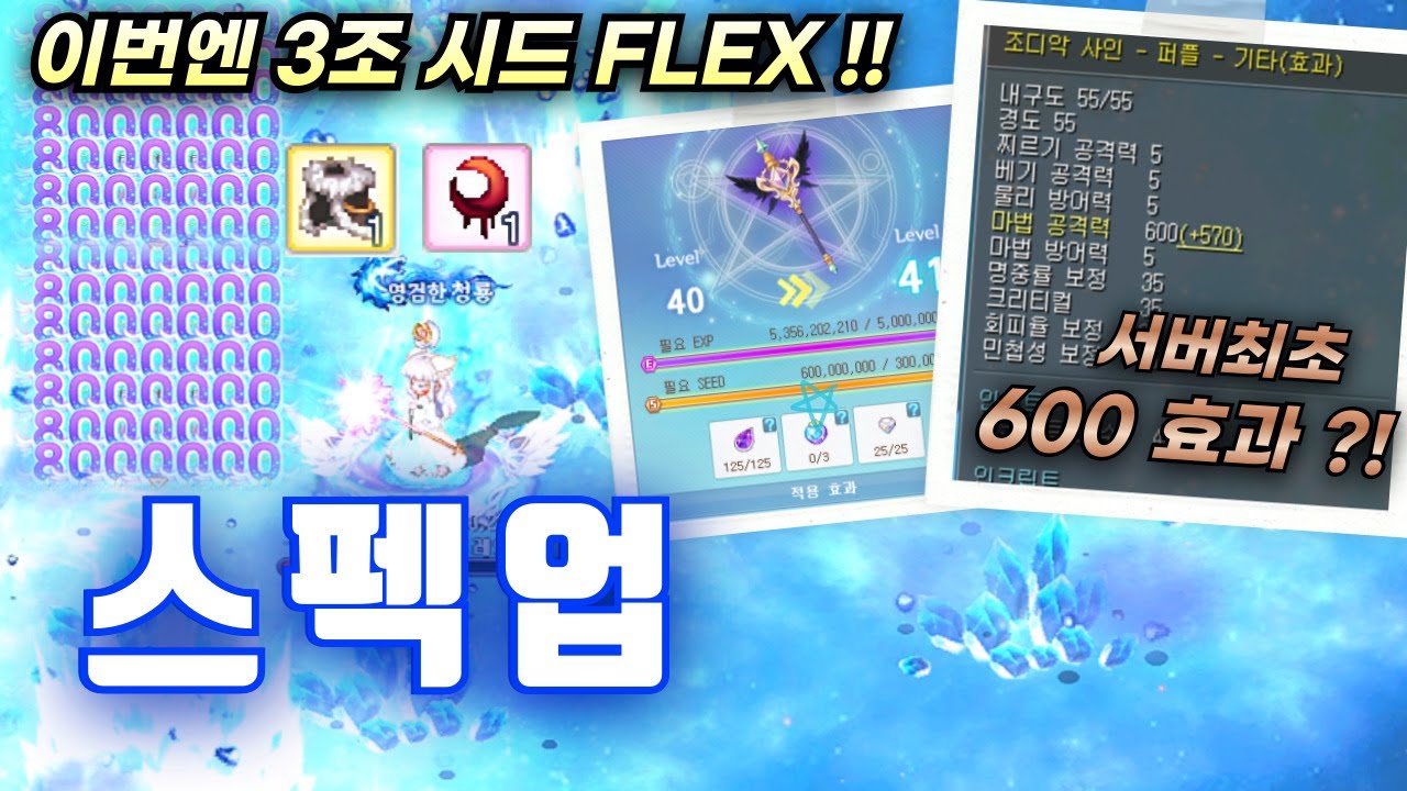 서버최초 600마공 효과 ?! 3조시드를 태운 통큰 스펙업 리뷰 [테일즈위버]