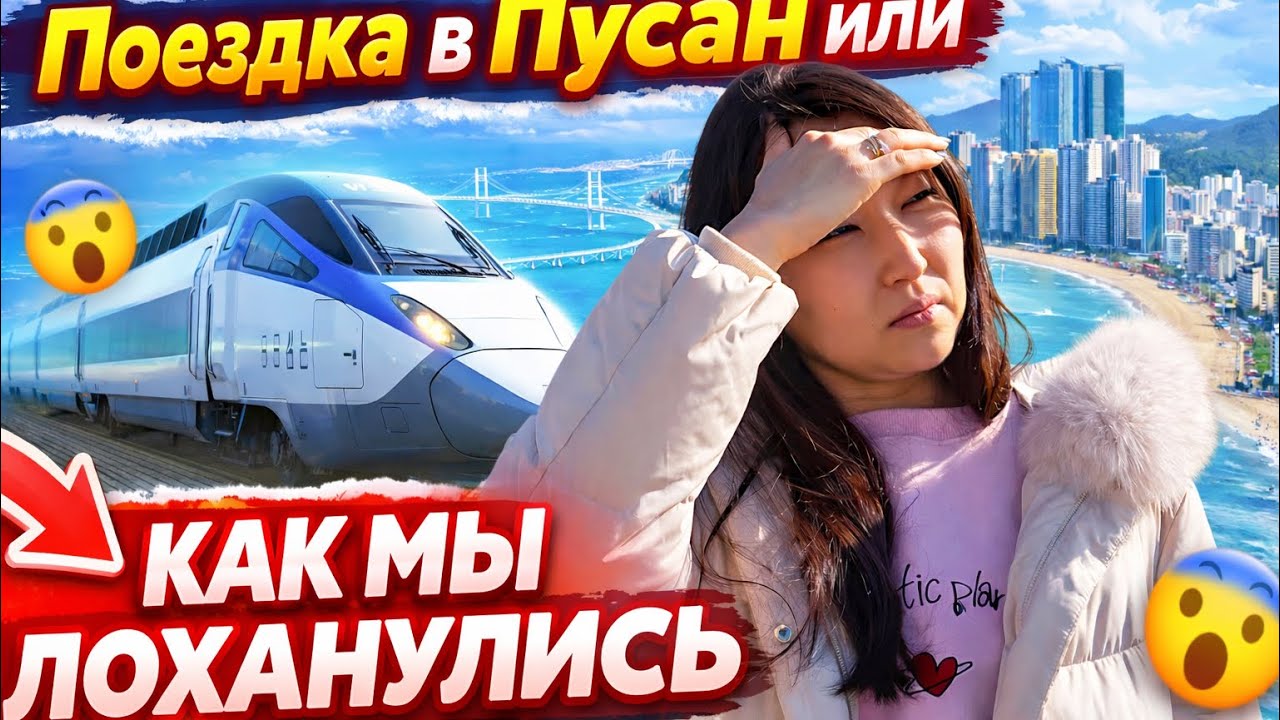 Korean vlog: ехали в Пусан, что в итоге🫣про операцию кота🌸 