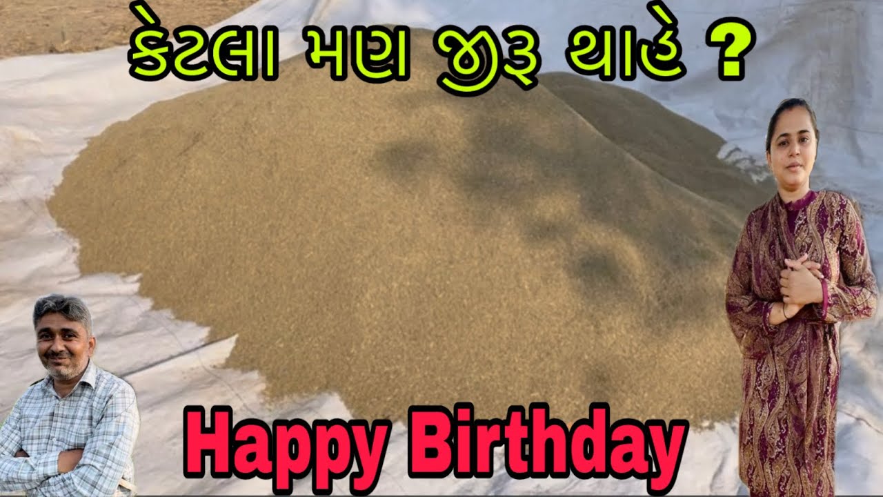 Happy Birthday🥮કેટલા મણ જીરૂ થાહે ?✅RR Life //@ Gujarati village life vlog 