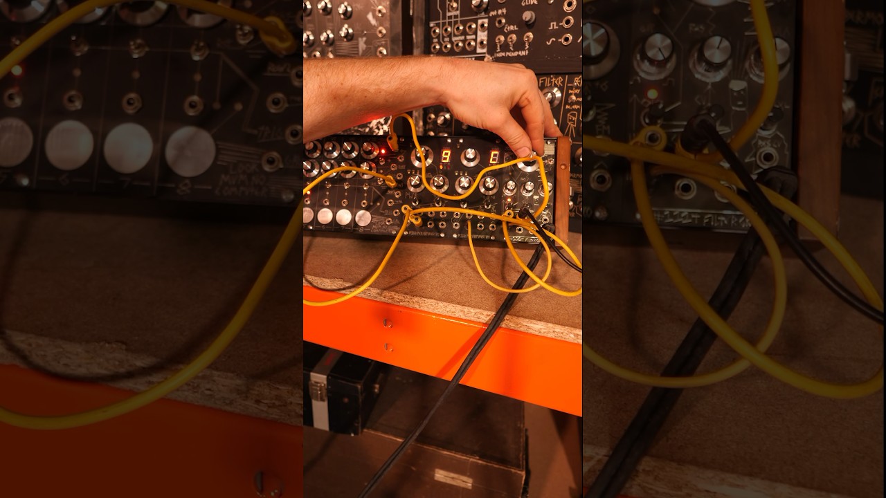 Honey we shrunk the synths!!. 1222 and 1114 #synth #synthesizer #analogsynth #vintagesynthesizer