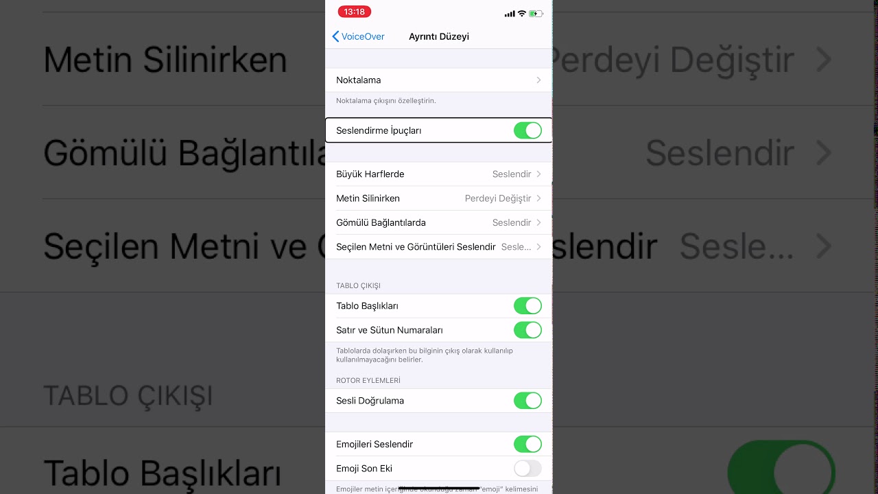 VoiceOver kullanımı-5: VoiceOver Konuşma ve Ayrıntı Düzeyi Ayarları