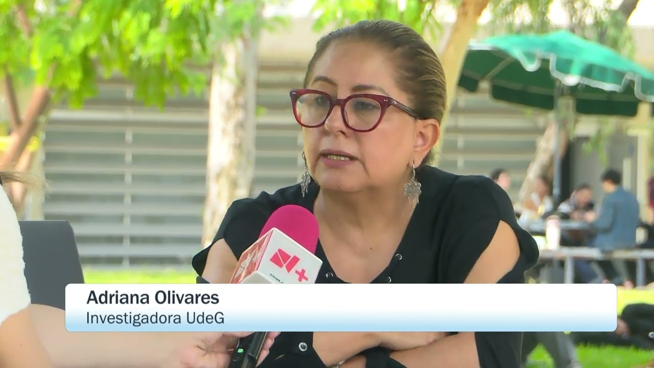Así Podría Agilizarse la Avenida López Mateos en Guadalajara, Según Experta de la UDG