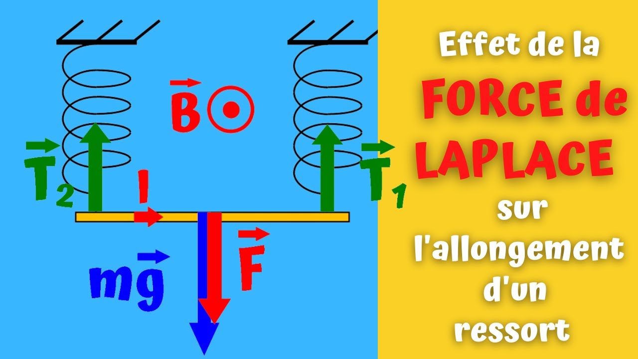 Exercice1 (Force de Laplace): Equilibre d'une tige conductrice par deux ressorts.