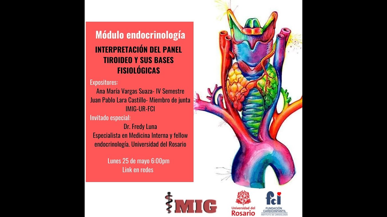 Interpretación del panel tiroideo y sus bases fisiológicas