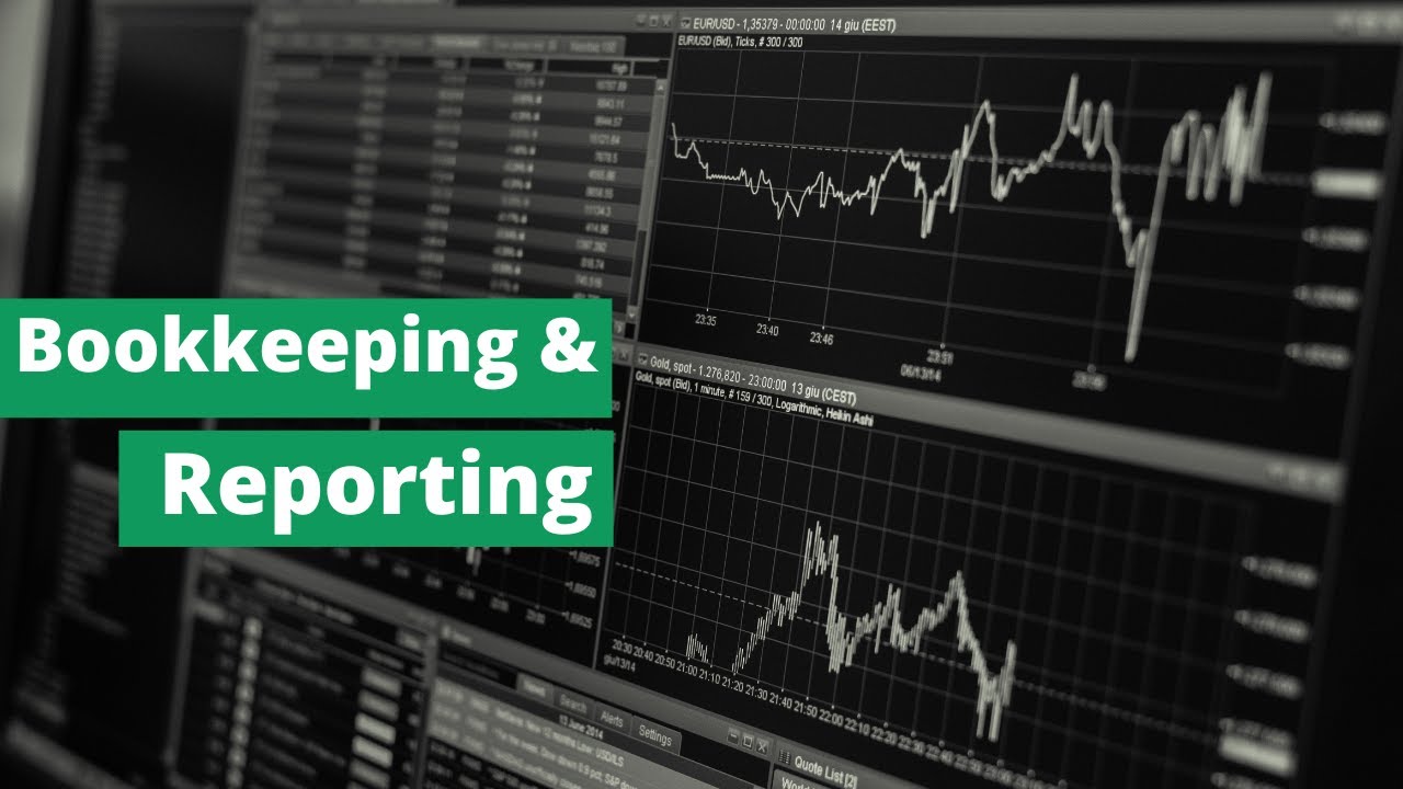 Financial Analyst for Bookkeeping, Reporting, and Financial Insights
