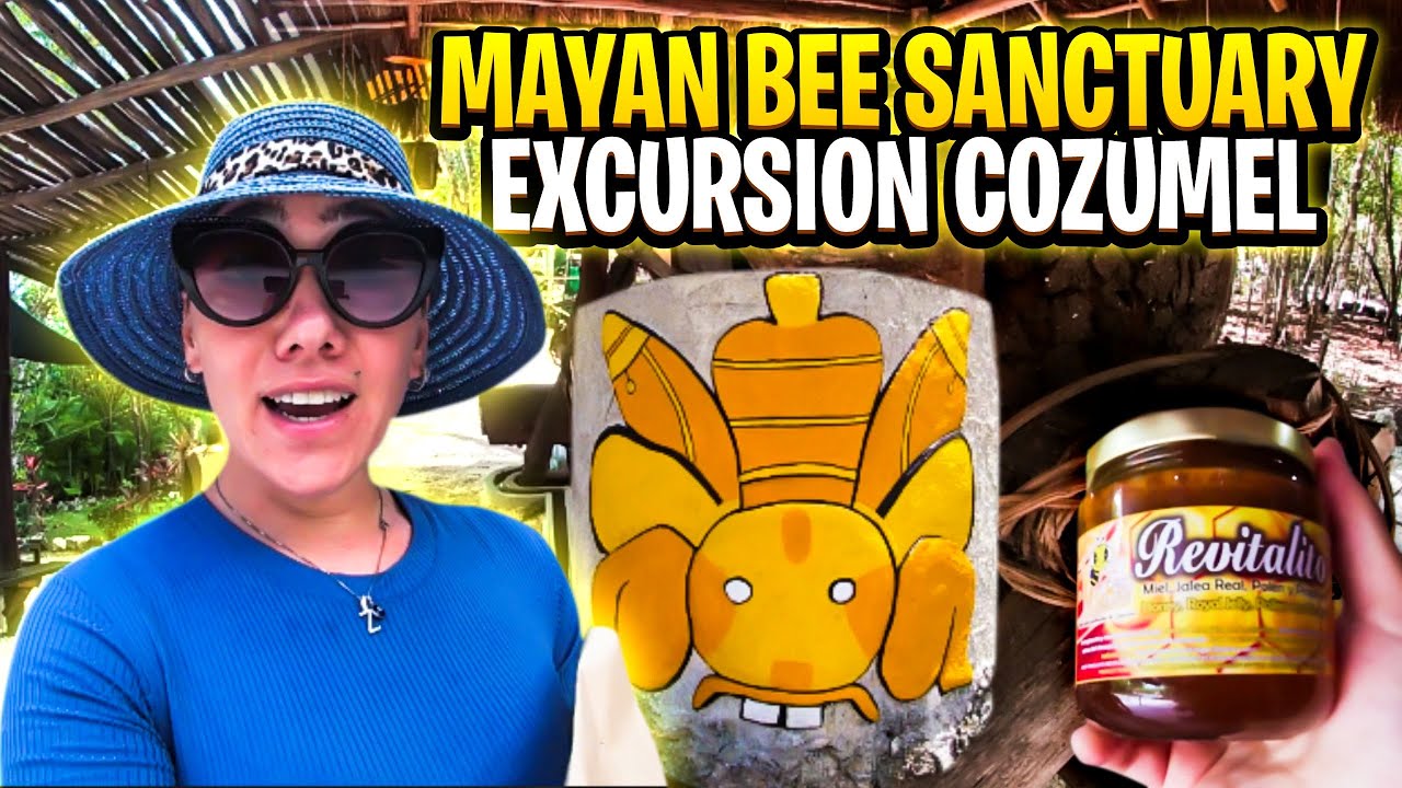Mayan Bee Sanctuary Excursion Cozumel Mexico Full Tour | Mayan Honey