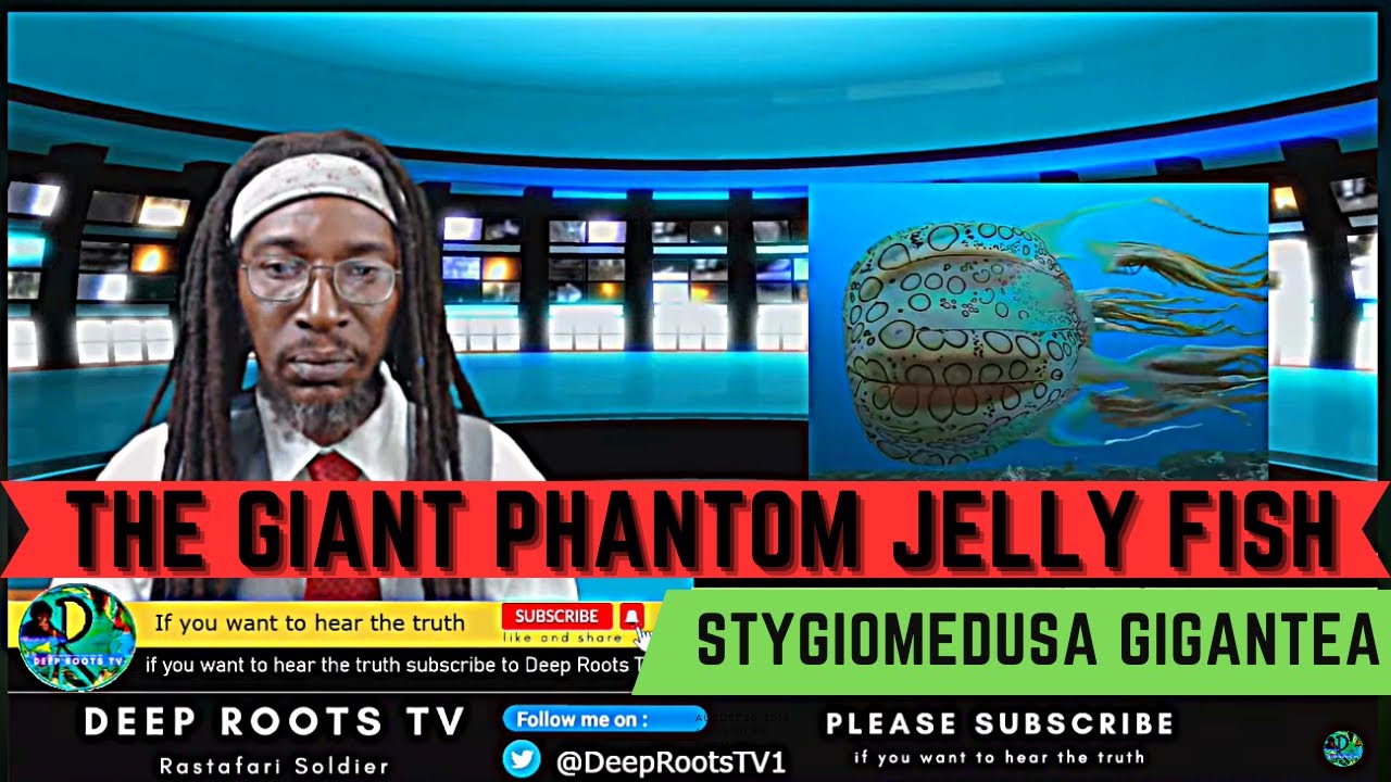 Rare Alien-looking Jellyfish Caught on Camera | DeeprootsTV | Rastafari Soldier