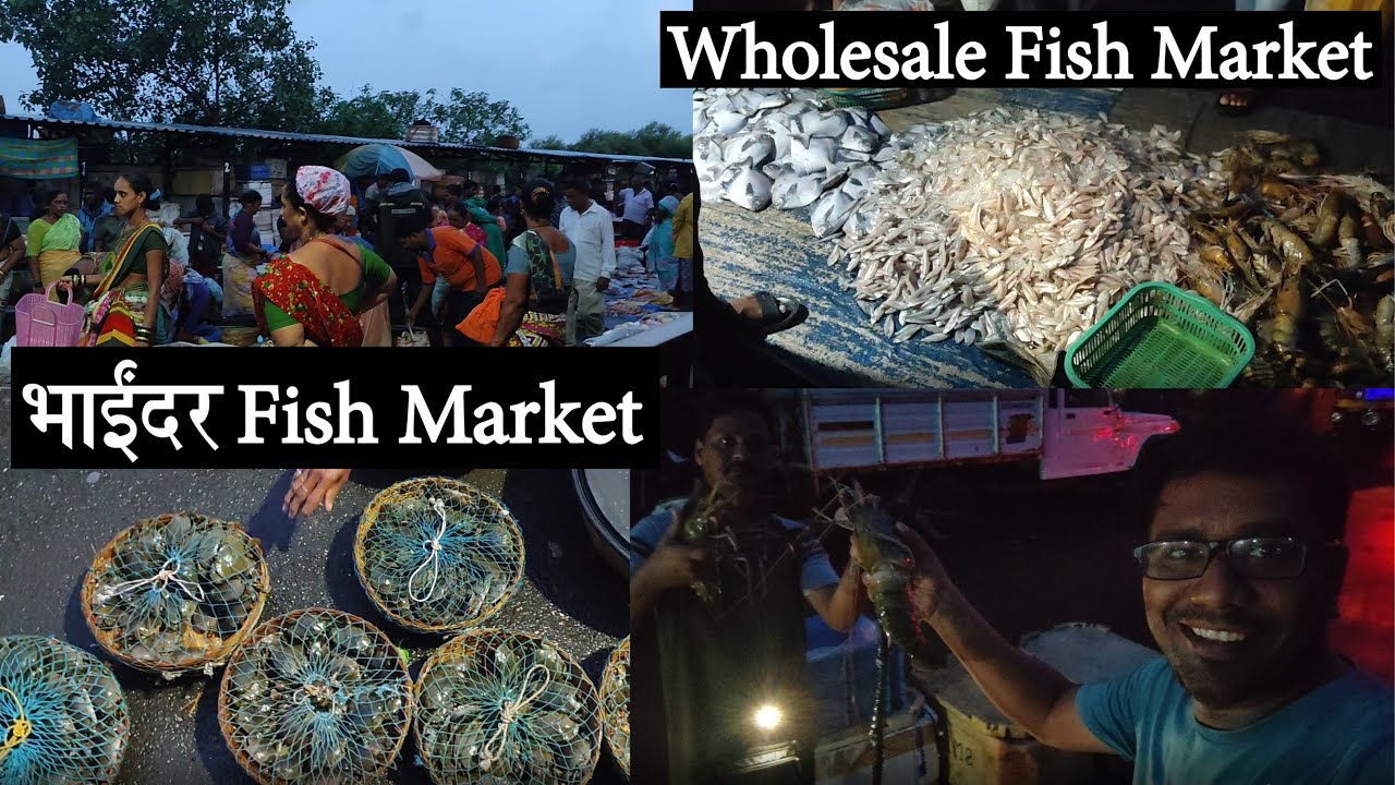 पहाटेच गेलो खेकडे आणायला || Bhayandar Wholesale Fish Market