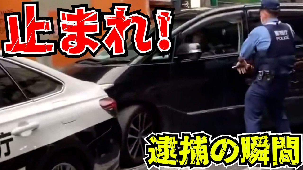 【ドラレコ】新宿歌舞伎町で逆走逃走！警察職質からバックで逃げる危険運転車/最新日本交通安全危険予知