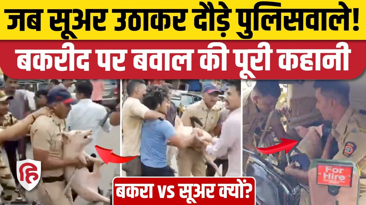 Mumbai Mira Road Bakrid: Poonam Cluster Society में बकरा vs सूअर क्यों हुआ, जानिए पूरी कहानी