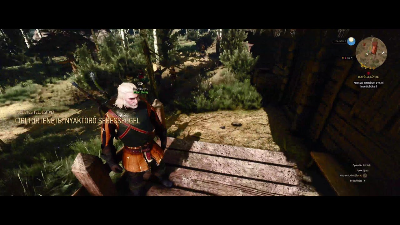 The Witcher 3 Wild Hunt - Kurafi