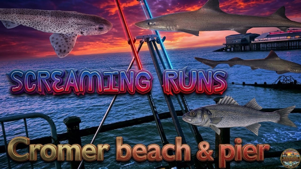 ON THE FISH AT CROMER! 🎣 | Beach & Pier Session | Meeting Subscribers / genrel public Norfolk Uk 