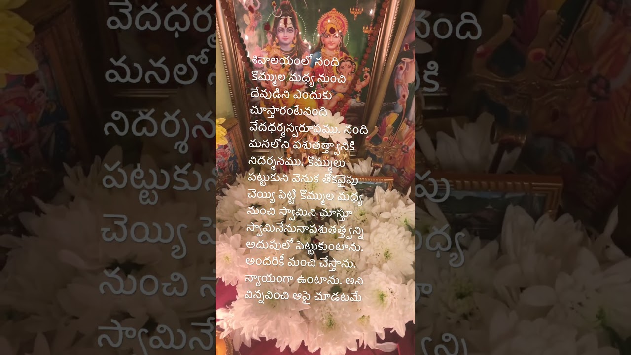 Shiva always bless us #song #viralvideo #astrology #hindurituals #trending #telugu #shivapooja