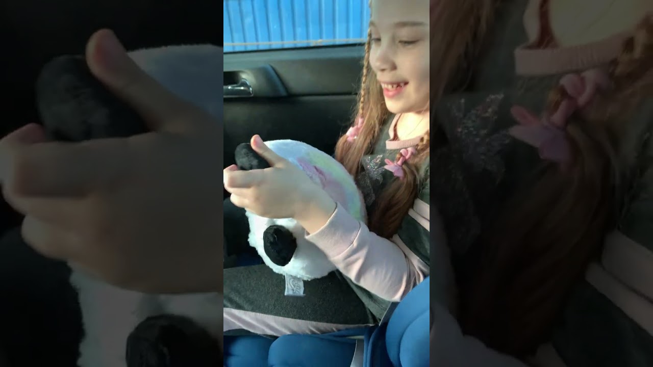 Котик в банке от Misfittens