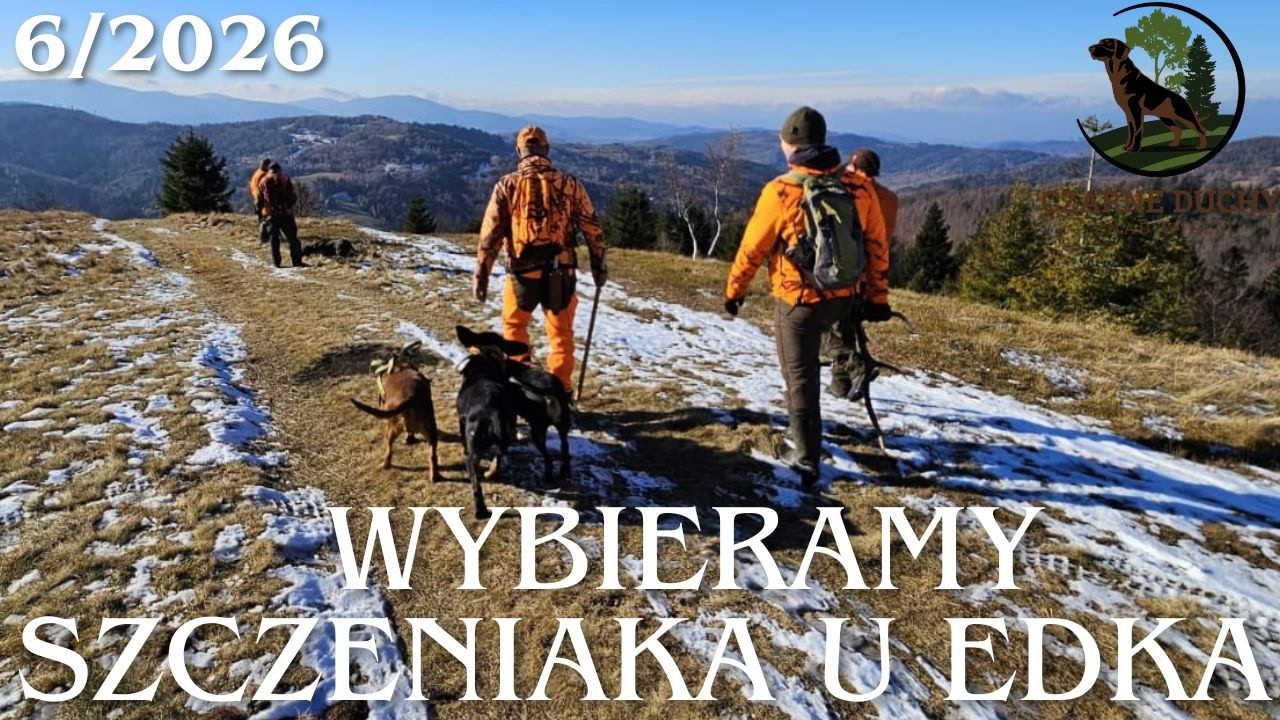 Jedziemy z synem po szczeniaka do Edka. 