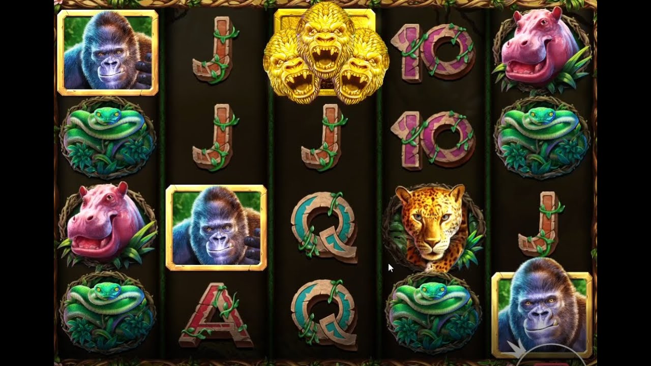 Chasing PROFIT on new slot Gorilla Mayhem (bonus buys)