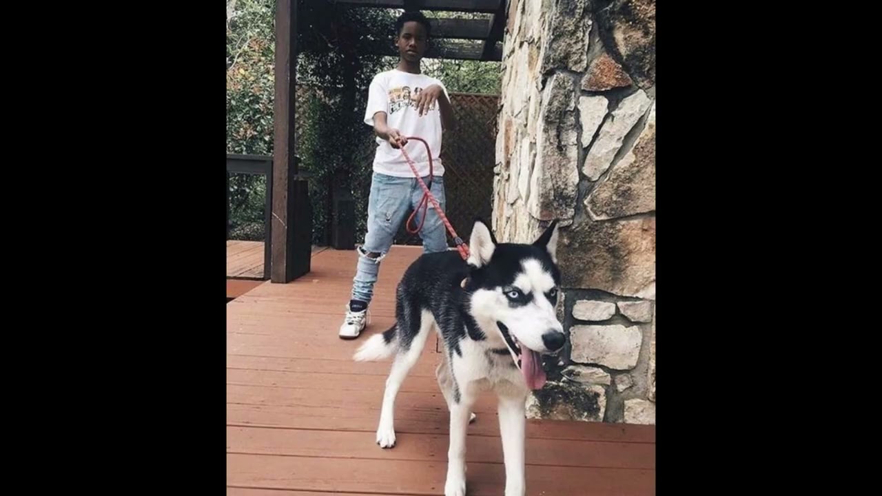 [FREE] Tay-K 47 x Playboi Carti Type Beat: - 