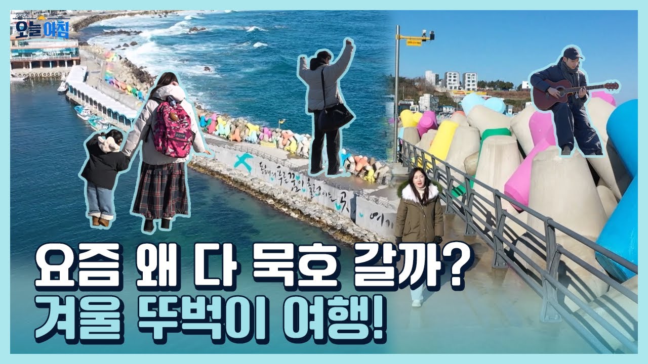 [생방송오늘아침] 요즘 왜 다 묵호 갈까? 겨울 뚜벅이 여행 #MBCLIFE MBC260114방송