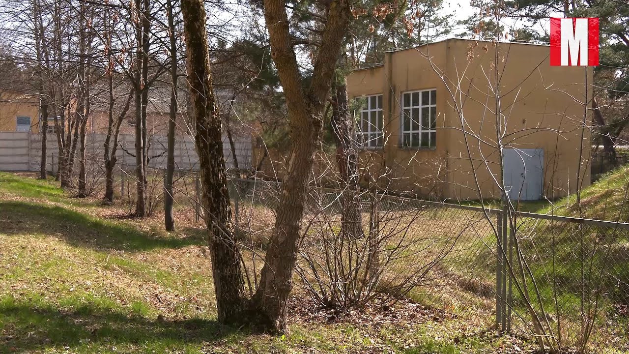 Wojewoda i skarb