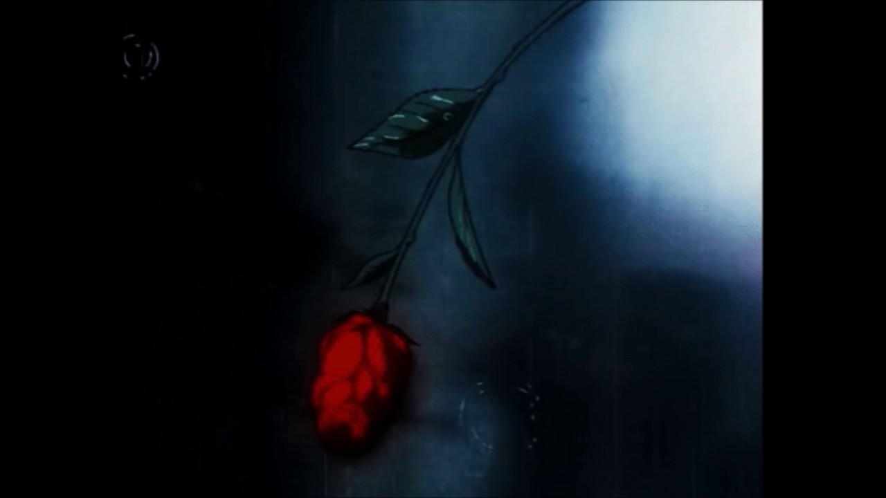 sophie meiers - rose thorns