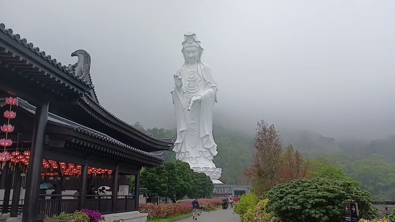 Visiting Tsz Shan Monastery #ytvideo #explore #beautifulhk #temple