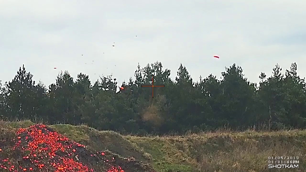 Lerdue skydning / Clay shooting  05-01-2019