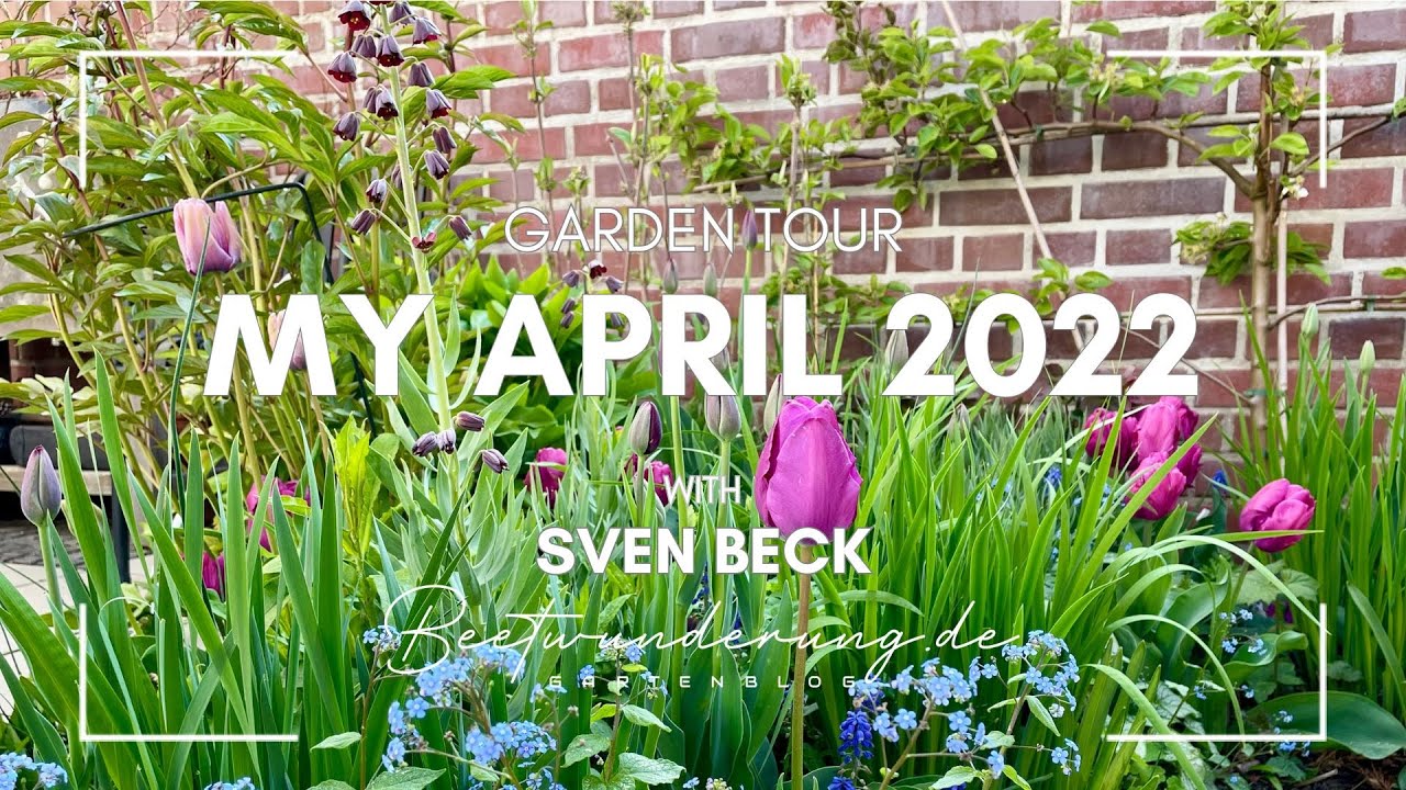 Garden / Garten: Garden tour April 2022 / Gartenrundgang April 2022 / beetwunderung.de