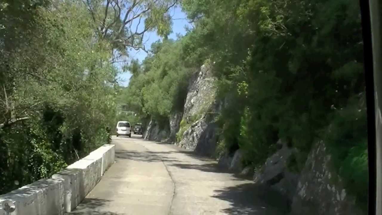 Short Tour of Gibratar With Apes