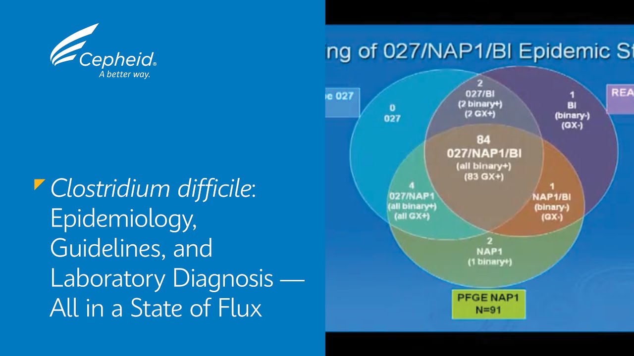 Clostridium difficile: Epidemiology, Guidelines, and Laboratory Diagnosis- All in a State of Flux