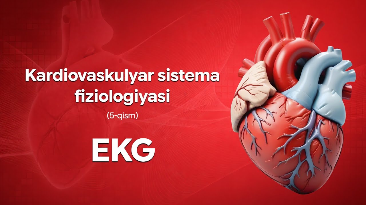 Kardiovaskulyar sistema fiziologiyasi (5-qism). Normal EKG 