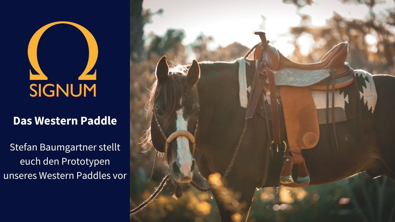 Das Western Paddle - ein erster Blick auf den Prototypen