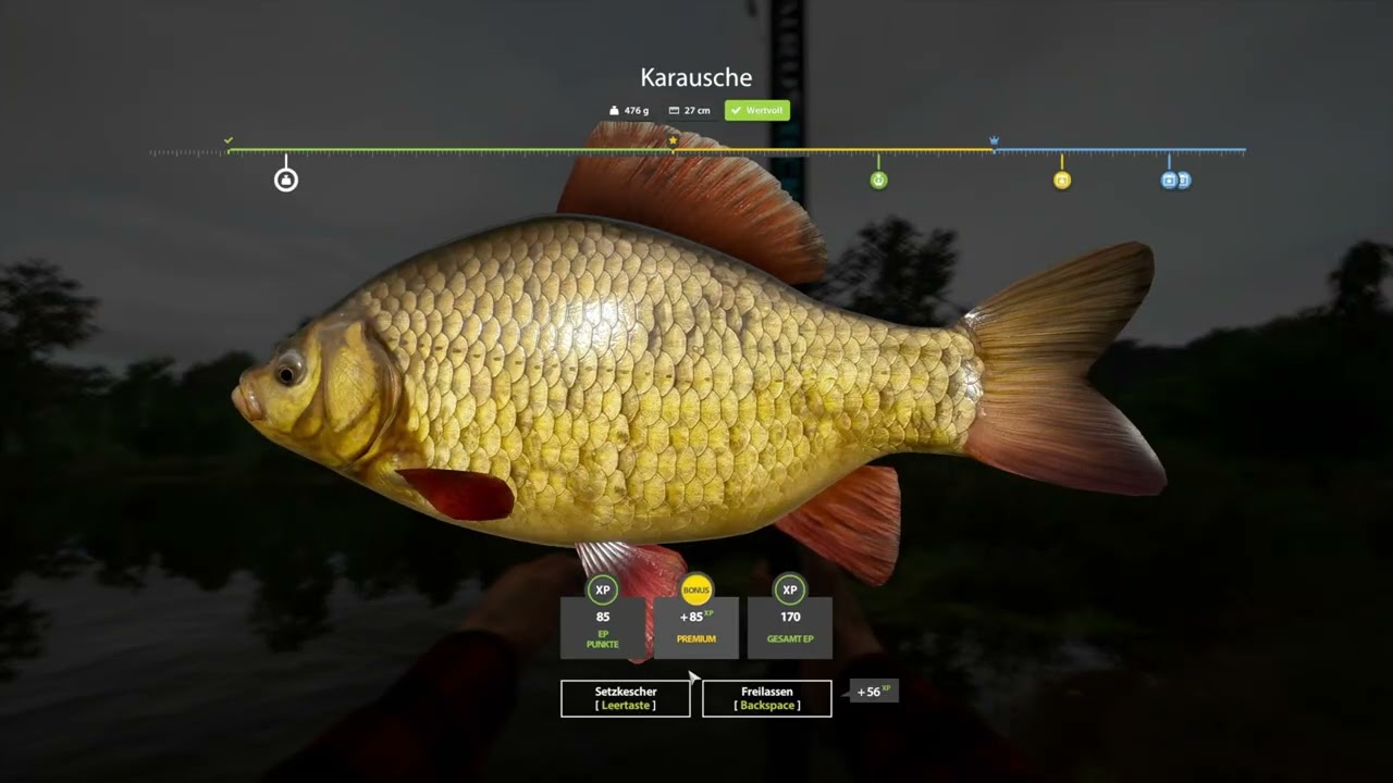 Russian Fishing 4| Neujahresherausforderung 2025 Folge #002 - Aufgaben am Moskito erledigen